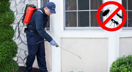 Yunusemre Hamam Böceği İlaçlama böcek ilaçlama ve haşere kontrolü — ilaclama-tr.com